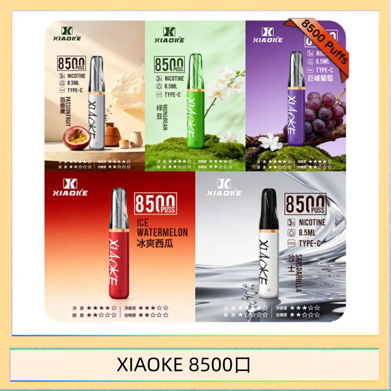 XIAOKE8500口 梟客XIAOKE一次性電子菸拋棄式8500口